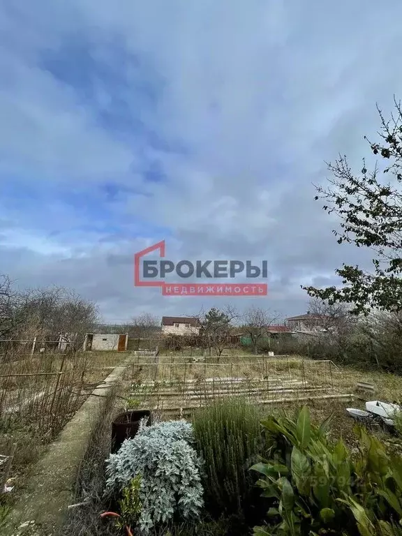 Участок в Севастополь Клеры-2 садоводческое товарищество, 133 (8.0 ... - Фото 0