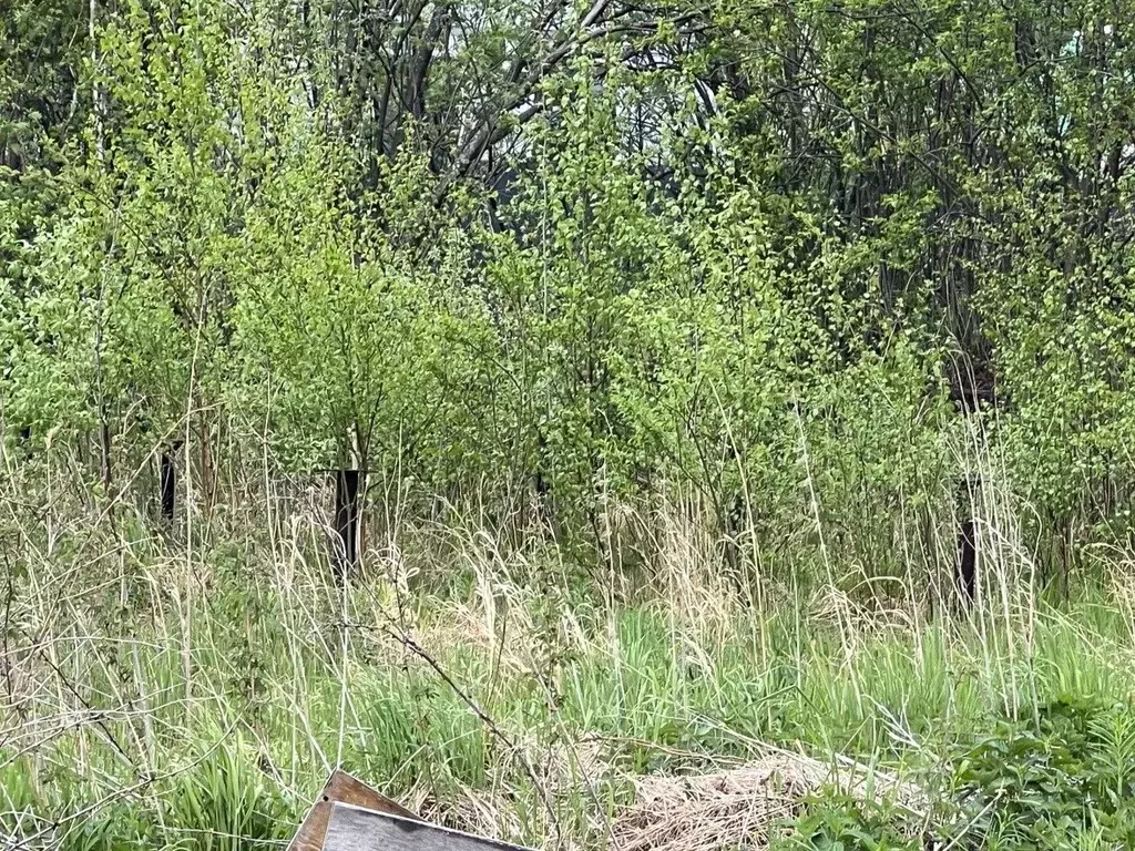 Дом в Свердловская область, Екатеринбург Мечта СНТ,  (10 м) - Фото 2