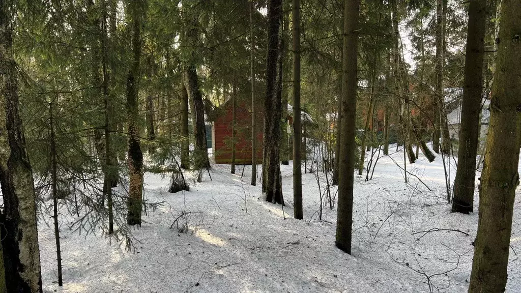 Участок, 5.7 сот., поселения (ижс) - Фото 1