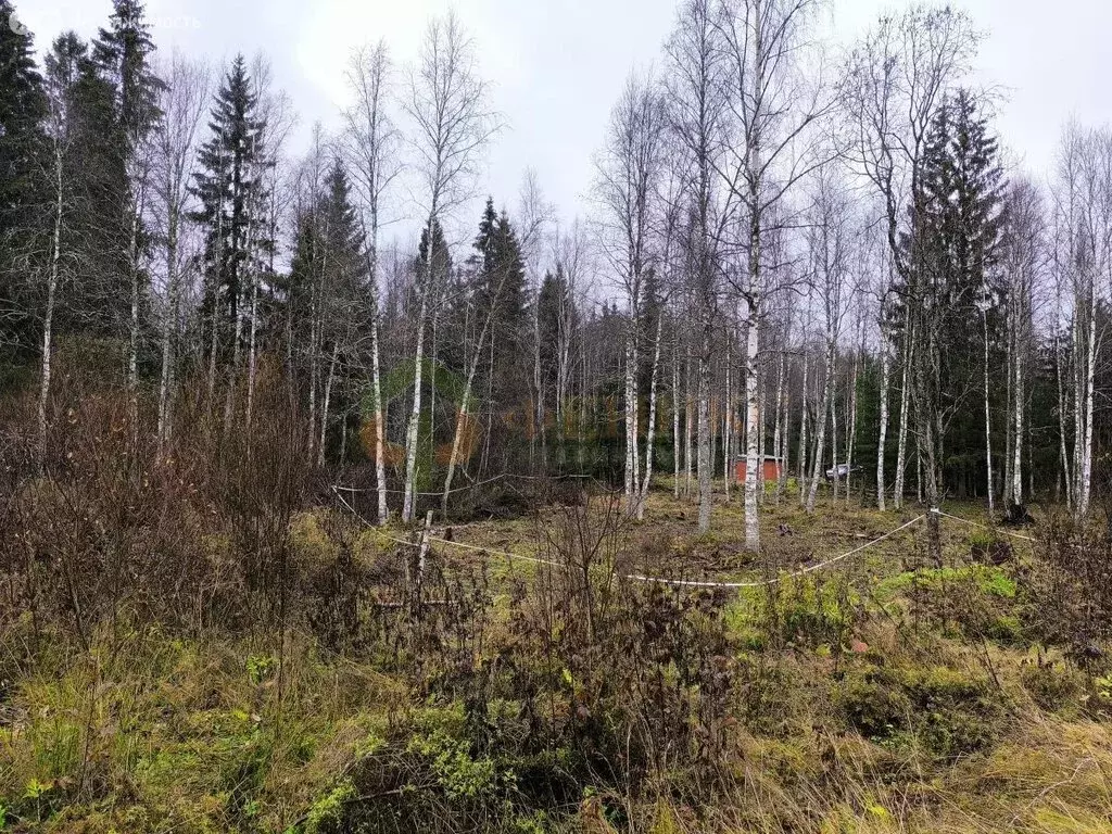 Участок в Выборгский район, посёлок Поляны (12.15 м) - Фото 2