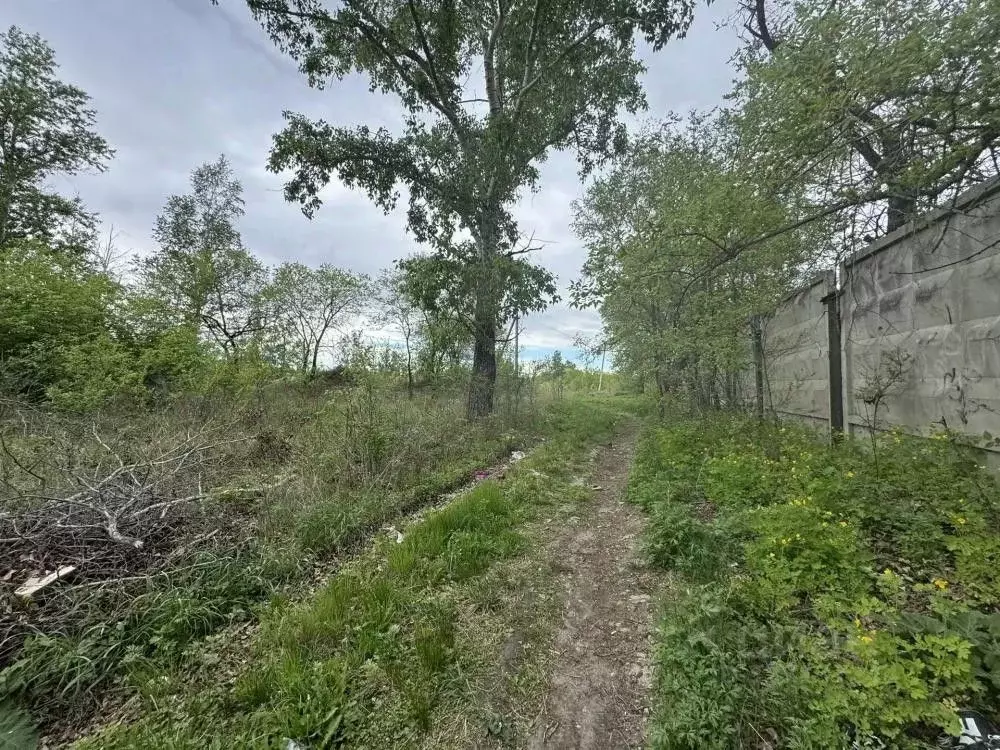 Участок в Амурская область, Белогорск ул. Стрелка (11.0 сот.) - Фото 2