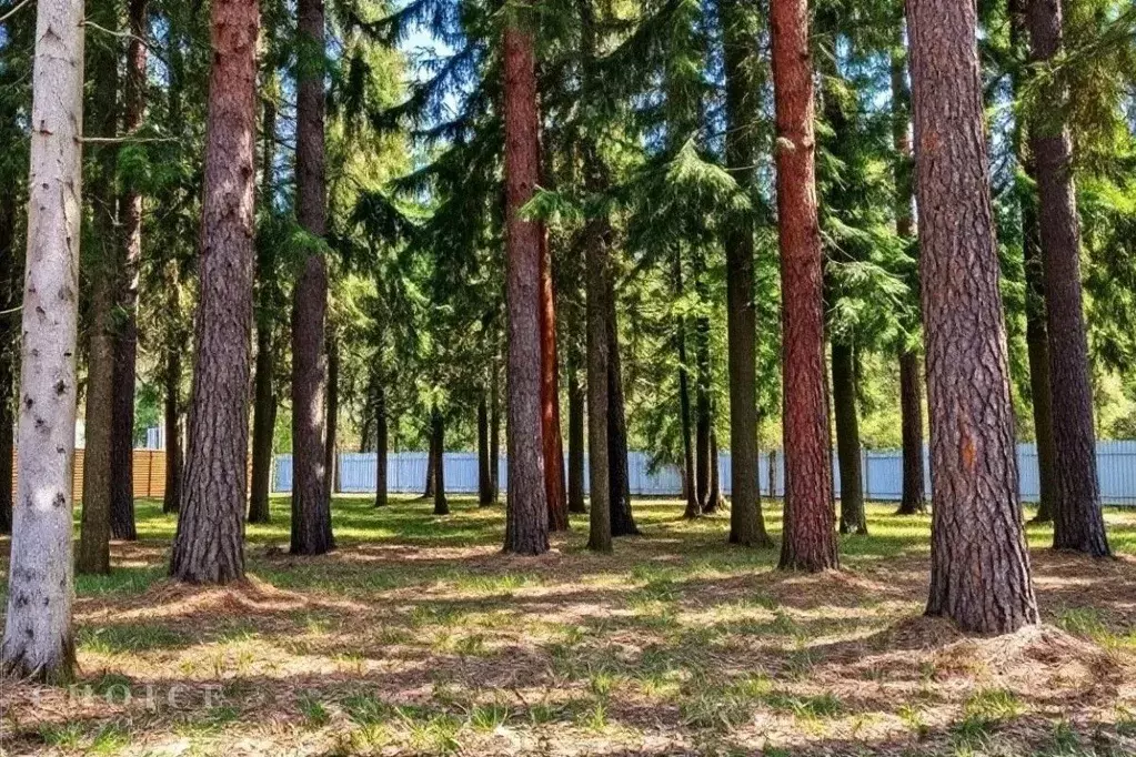 Участок в Московская область, Одинцовский городской округ, пос. ... - Фото 2