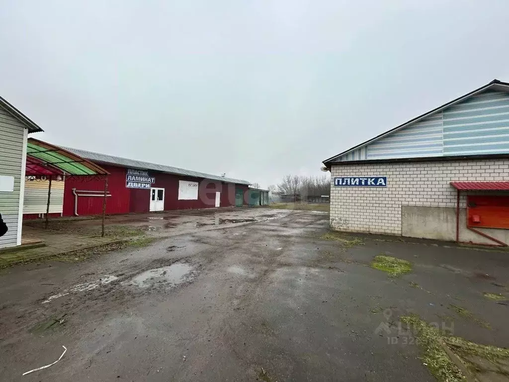 Склад в Брянская область, Стародуб ул. Семашко, 1А (531 м) - Фото 1