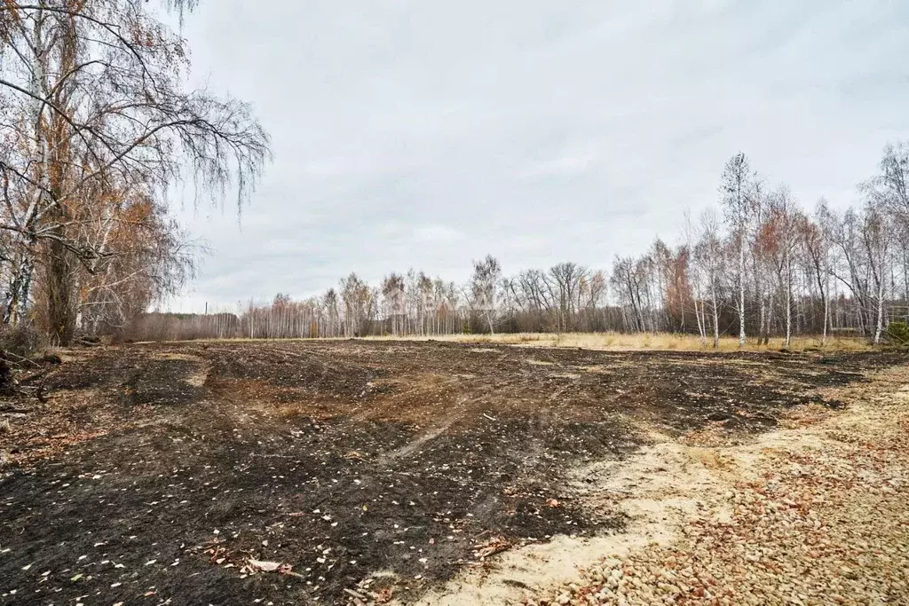 Участок в Воронежская область, Воронеж ул. Икорецкая (4.5 сот.) - Фото 0