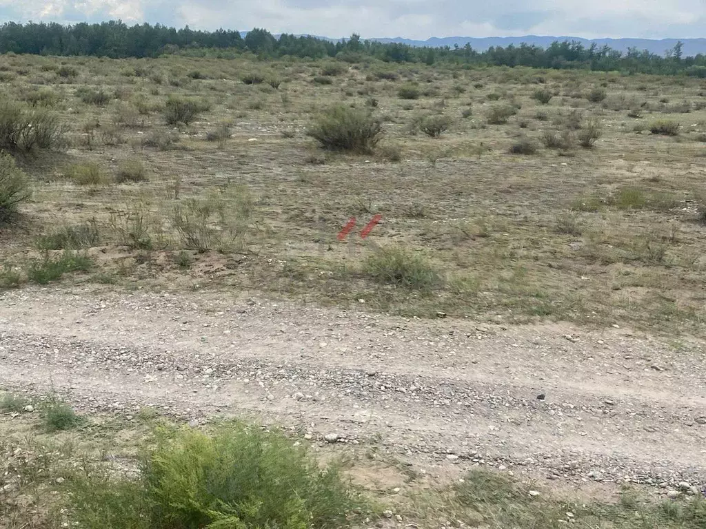 Участок в Тыва, Кызылский кожуун, с. Сукпак  (6.0 сот.) - Фото 2