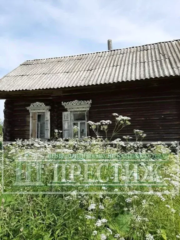 Участок в Ивановская область, Шуйский район, Васильевское с/пос, д. ... - Фото 1