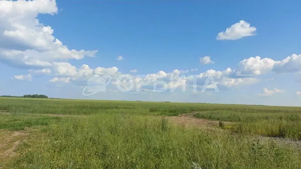 Участок в Тюменская область, Тюменский муниципальный округ, с. Каменка ... - Фото 2