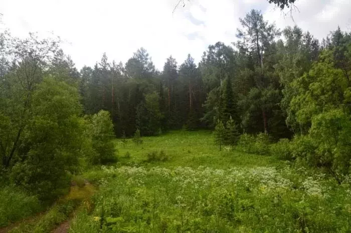 Участок в Выборгский район, Селезнёвское сельское поселение, посёлок ... - Фото 1