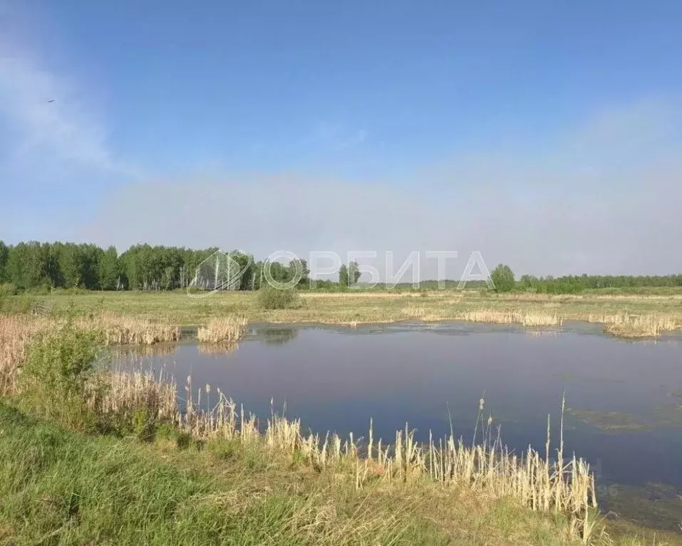 Участок в Тюменская область, Тюменский муниципальный округ, д. ... - Фото 2