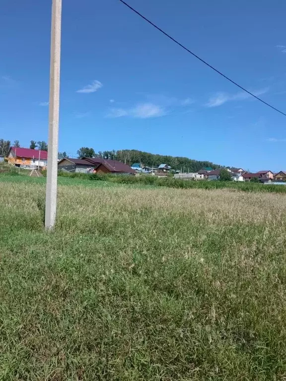 Участок в Алтайский край, Барнаул городской округ, пос. Центральный ... - Фото 2