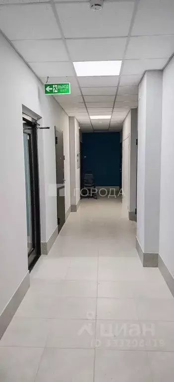 Помещение свободного назначения в Новосибирская область, Новосибирск ... - Фото 2
