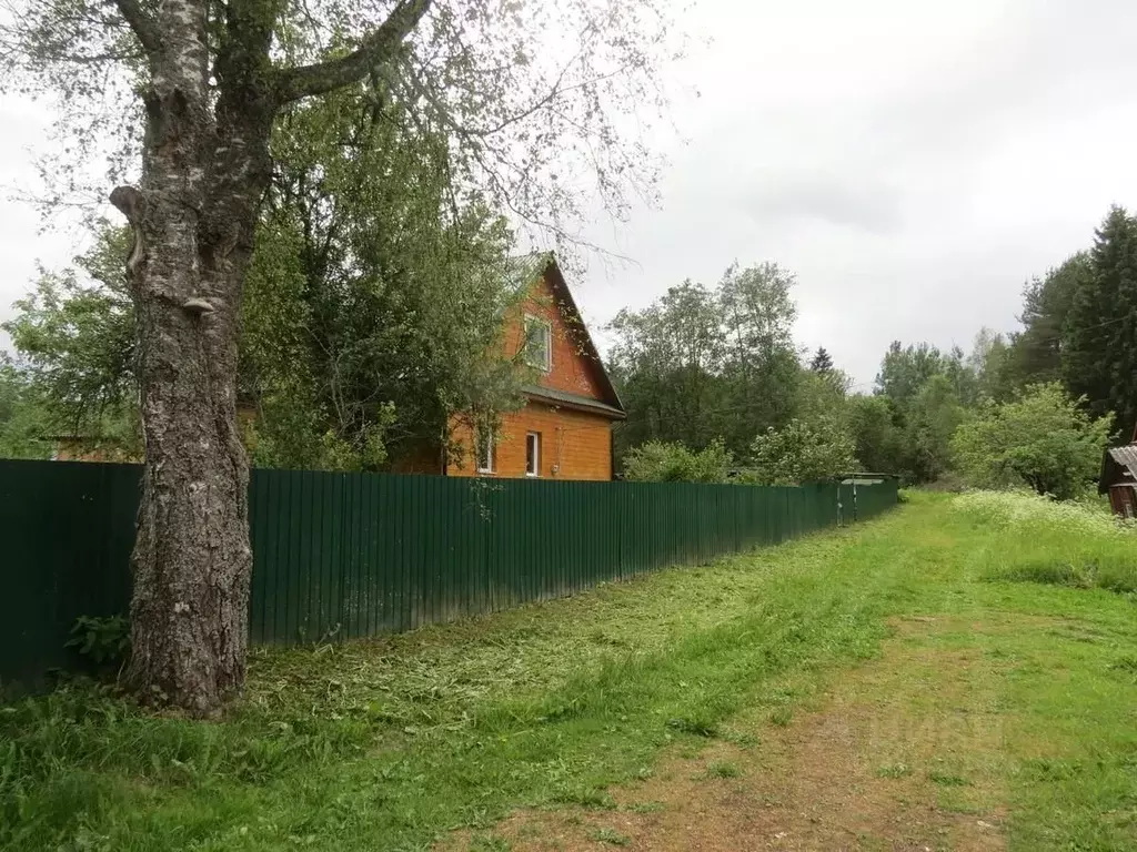 Дом в Тверская область, Оленинский район, с. Молодой Туд  (79 м) - Фото 1