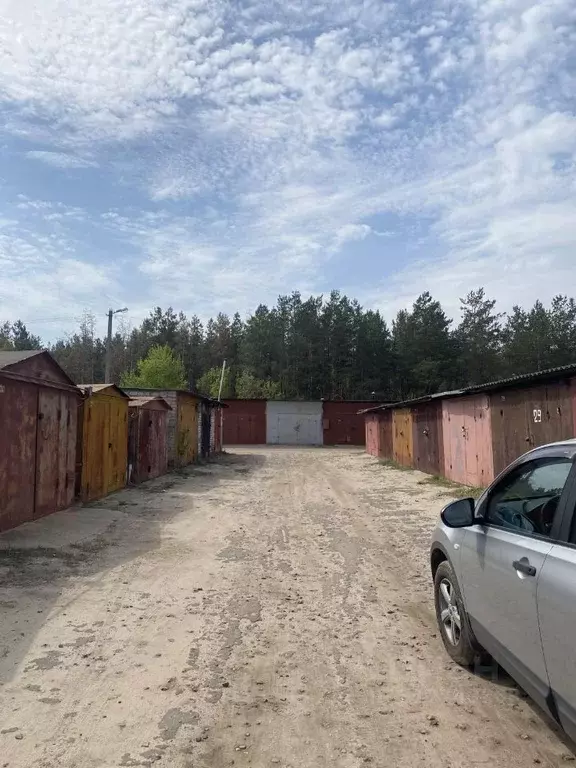Гараж в Воронежская область, Воронеж ул. Антонова-Овсеенко, 12 (20 м) - Фото 0