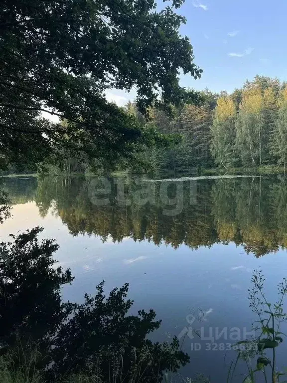 Участок в Калужская область, Калуга  (15.0 сот.) - Фото 2