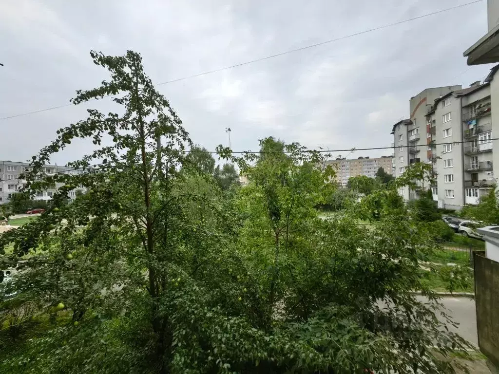 1-к кв. Калининградская область, Калининград Печатная ул., 45 (30.0 м) - Фото 1