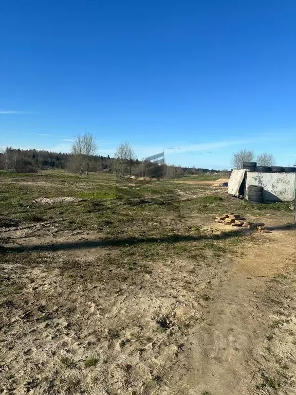 Участок в Ленинградская область, Всеволожский район, Лесколовское ... - Фото 1