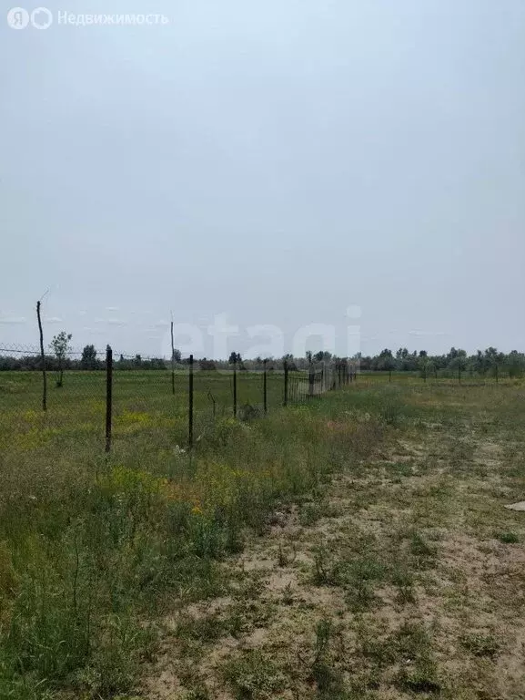 Участок в хутор Обуховка, бульвар Белой Акации (8.5 м) - Фото 1