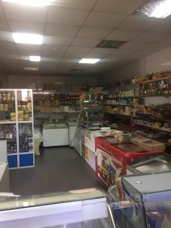 Помещение свободного назначения в Красноярский край, Заозерный г. ... - Фото 1