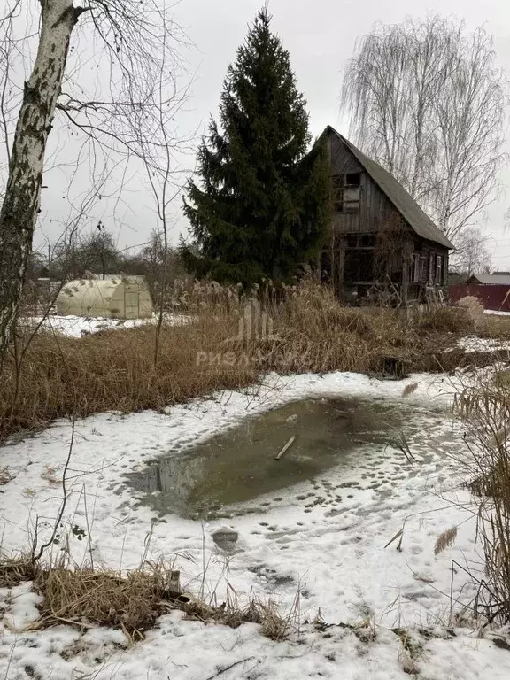 Участок в Брянская область, Брянск Имени Гагарина садоводческое ... - Фото 2