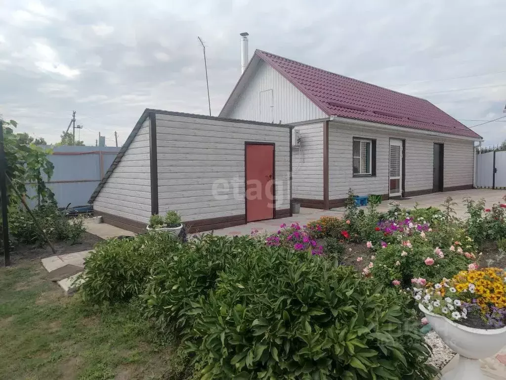 Дом в Воронежская область, Борисоглебский городской округ, с. ... - Фото 1