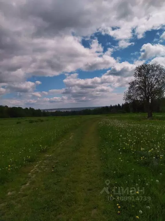 Участок в Пермский край, д. Скобелевка ул. Молодежная (12.0 сот.) - Фото 0