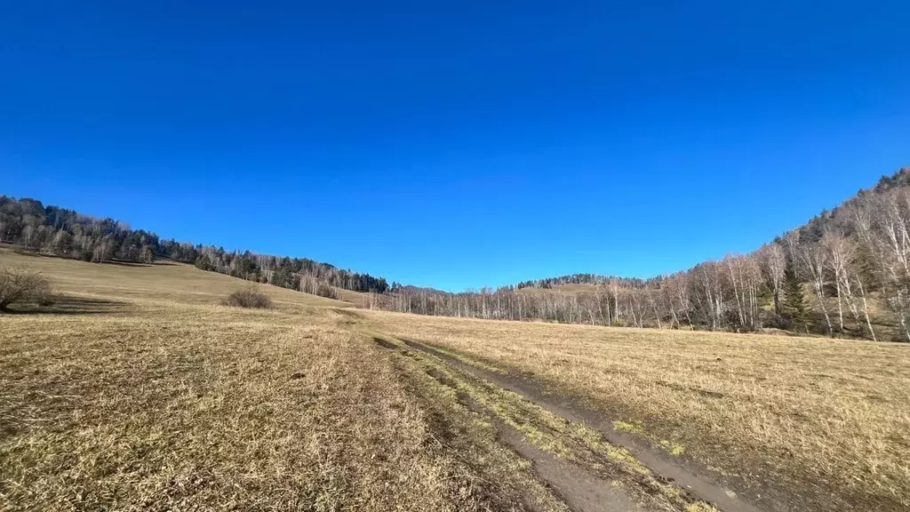 Участок в Алтай, Чемальский район, с. Чепош ул. Кучияк (94.0 сот.) - Фото 1