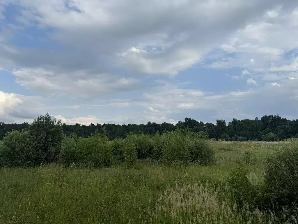 Участок, 500 сот., сельхоз (снт или днп) - Фото 0
