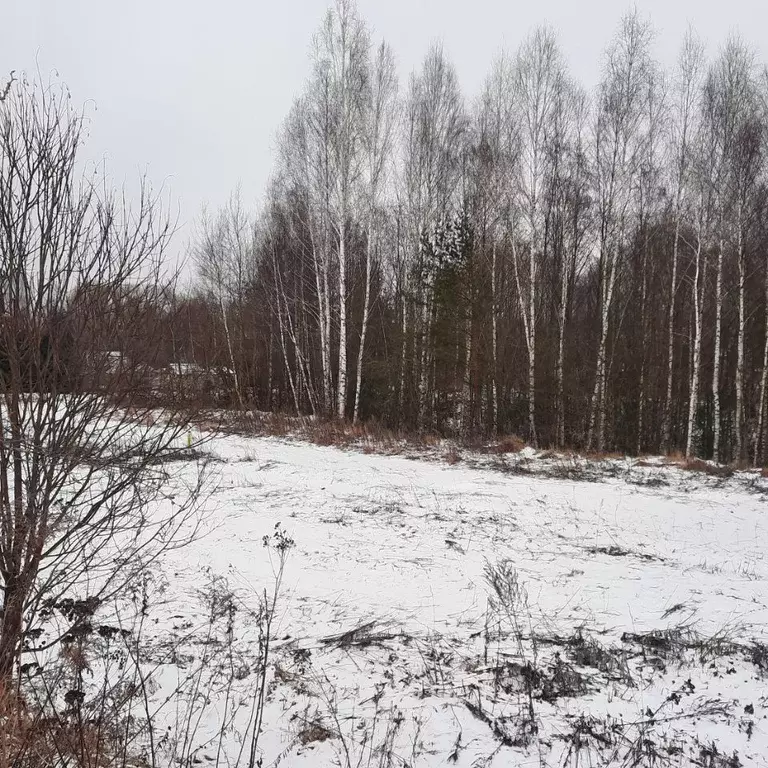 Участок в Московская область, Ступино городской округ, д. Прудно ул. ... - Фото 0