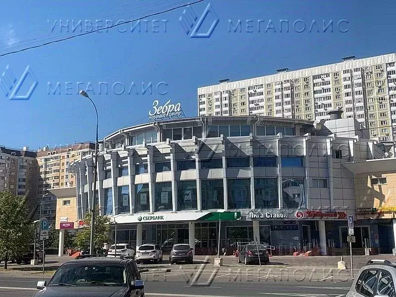 Торговая площадь в Москва ул. Рудневка, 19 (399 м) - Фото 0