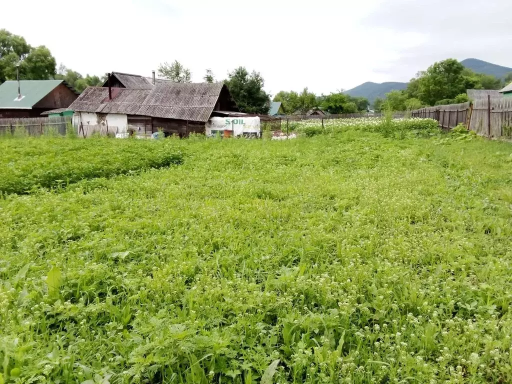 Дом в Приморский край, муниципальный округ Партизанск, село Авангард, ... - Фото 0