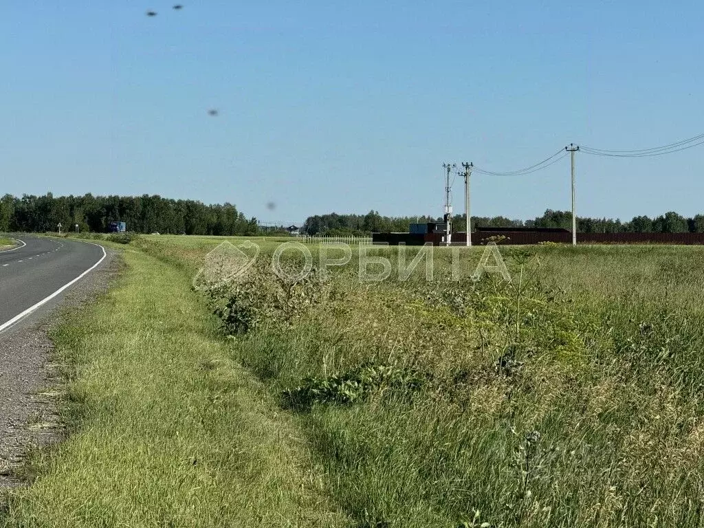 Участок в Тюменская область, Нижнетавдинский муниципальный округ, ... - Фото 2
