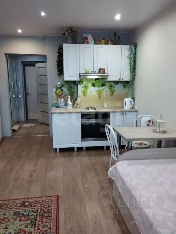 Студия Новосибирская область, Новосибирск Ударная ул., 25/1 (30.0 м) - Фото 2