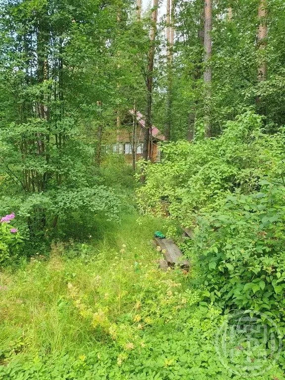 Дом в Ленинградская область, Выборгский район, Приморское городское ... - Фото 1