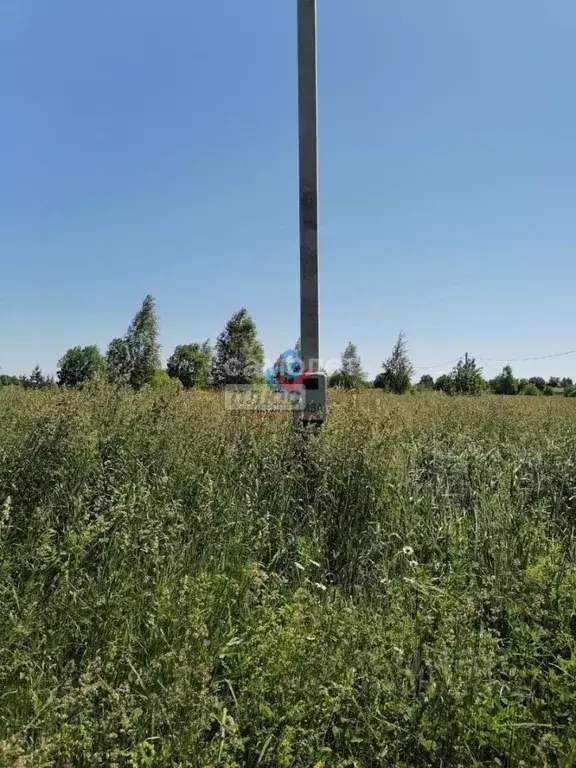 Участок в Ярославская область, Переславль-Залесский городской округ, ... - Фото 1