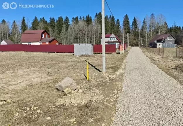 Участок в посёлок Рабитицы (20 м) - Фото 1