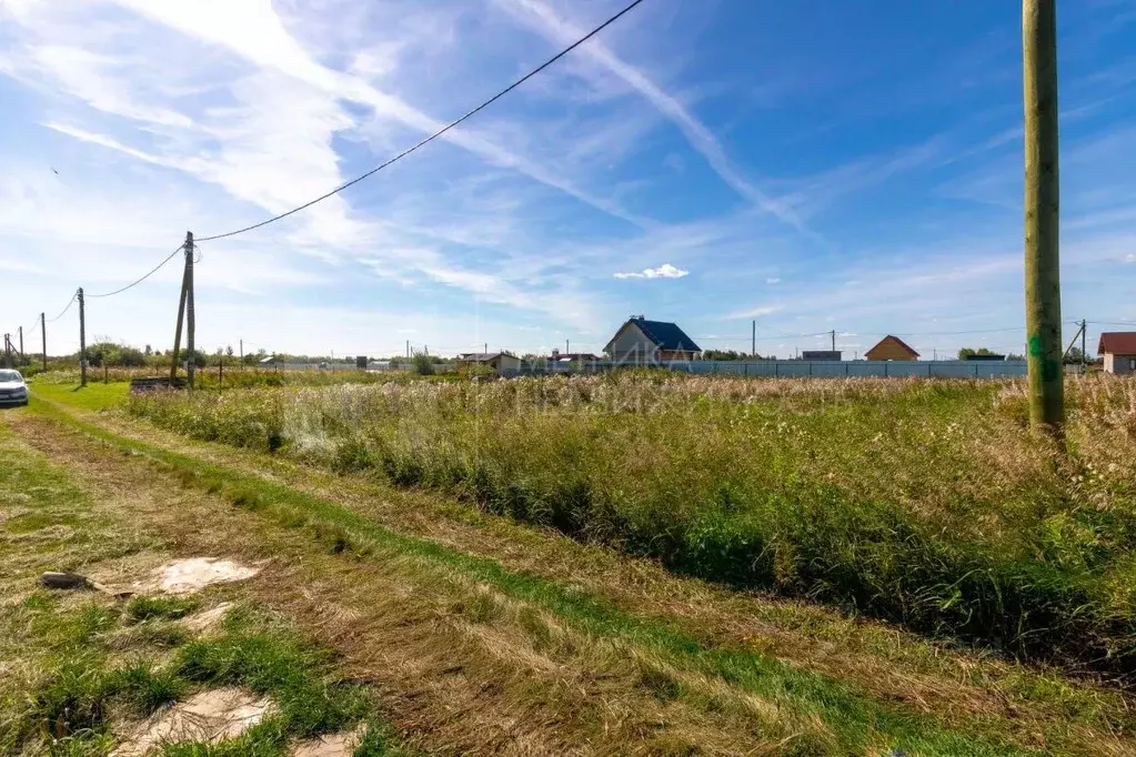 Участок в Тюменская область, Тюмень Царево садовое товарищество, 779 ... - Фото 1