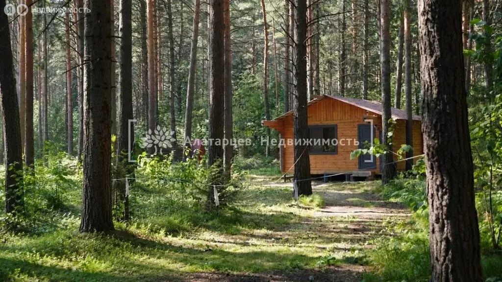 Дом в Томский район, деревня Казанка, Новая улица, 10Б (28.8 м) - Фото 1