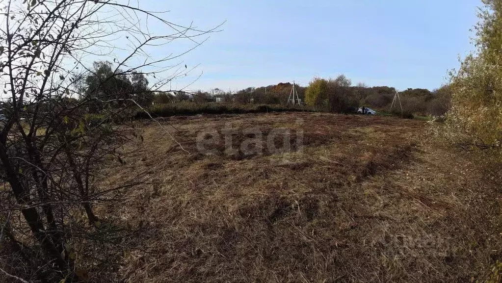 Участок в Хабаровский край, Хабаровский район, с. Краснореченское, ... - Фото 2