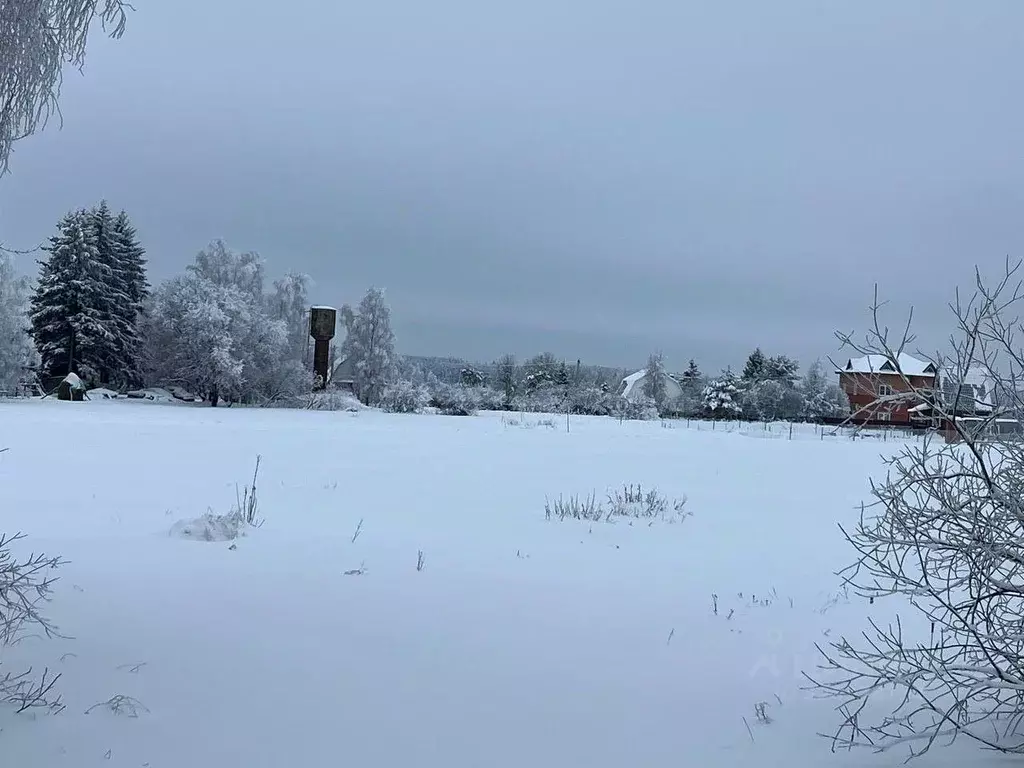 Участок в Московская область, Можайский муниципальный округ, д. ... - Фото 1