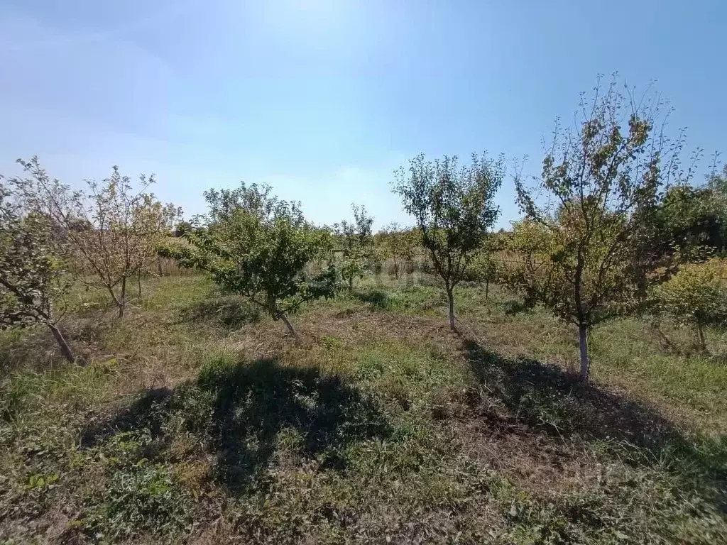 Участок в Тульская область, Дубенский район, Воскресенское ... - Фото 1