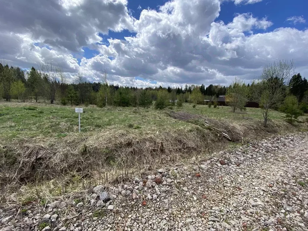 Участок в Московская область, Клин городской округ, Солнечногорье кп ... - Фото 1