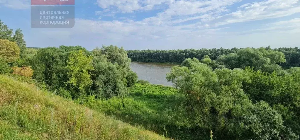 Участок в Рязанская область, Спасский район, Киструсское с/пос, с. ... - Фото 1