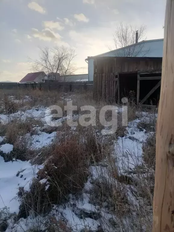 Участок в Бурятия, Иволгинский район, Гурульбинское с/пос, Беркут ДНТ ... - Фото 1