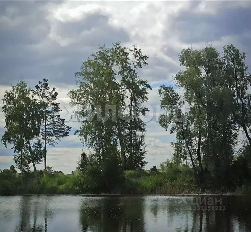 Участок в Новосибирская область, Новосибирский район, Кудряшовский ... - Фото 1