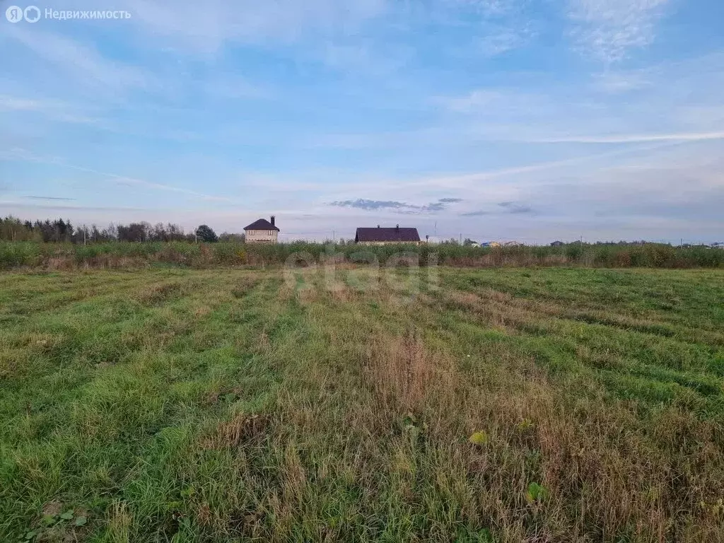 Участок в Красносельский район, Гридинское сельское поселение, деревня ... - Фото 1