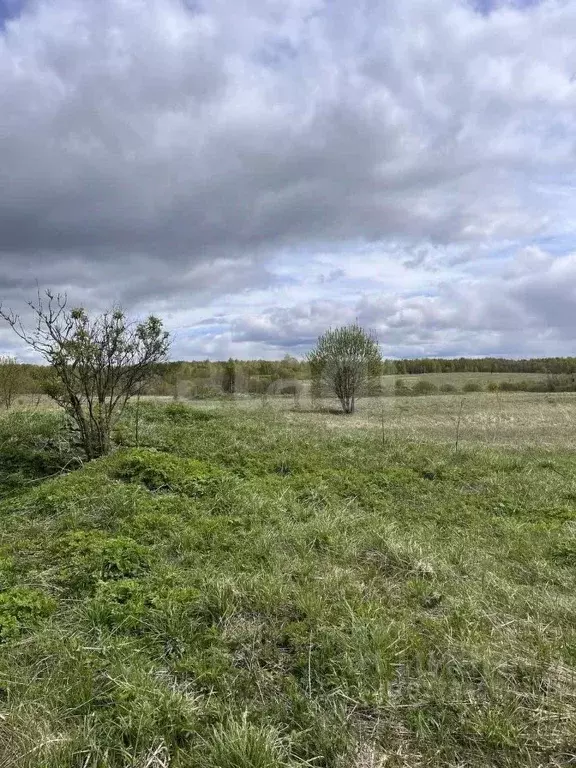 Участок в Калужская область, Спас-Деменский район, Чипляево с/пос, с. ... - Фото 1