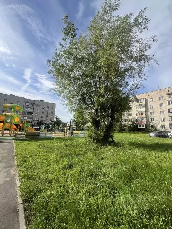 3-к кв. Московская область, Электросталь городской округ, пос. Новые ... - Фото 2