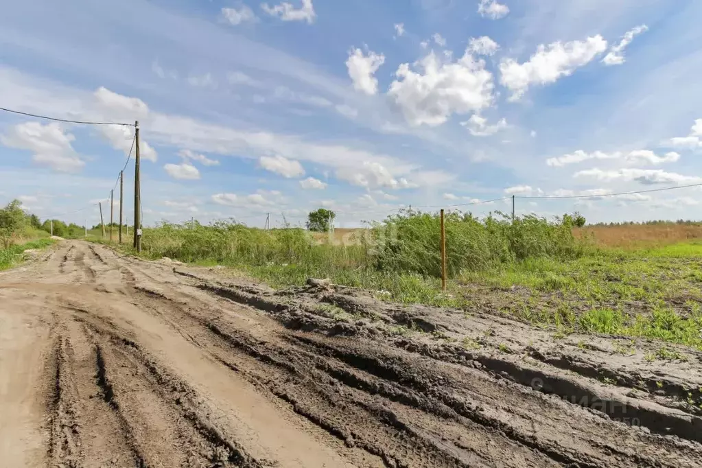 Участок в Тюменская область, Тюмень Яровское садовое товарищество,  ... - Фото 1