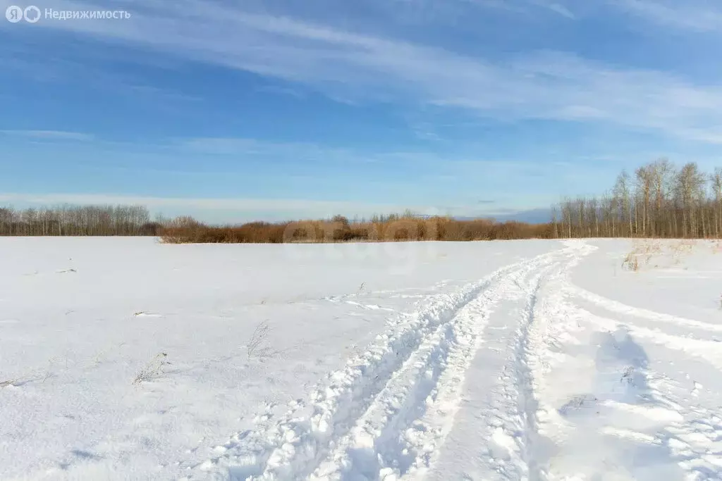 Участок в Тюменский район, коттеджный посёлок Новокаменский (7 м) - Фото 1