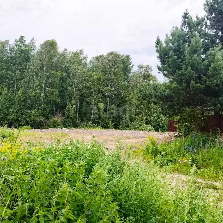 Участок в Миасс, СНТ Строитель-2 (651 м) - Фото 2